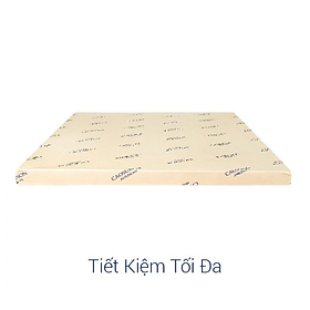 Mua NỆM CAO SU NON AMERICAN CAO CẤP dày 5cm 001-OH