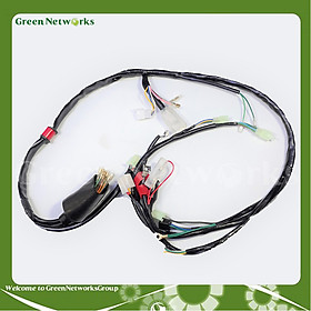 Bộ dây điện sườn cho xe Super Dream Green Networks Group