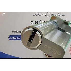 Tay nắm cửa đi - Lõi khóa mở ngoài - xám ghi