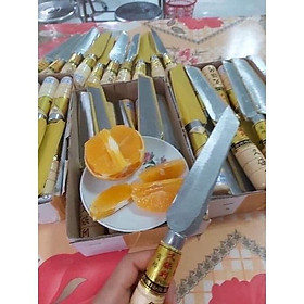 Mua dao gọt hoa quả