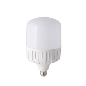 Bóng đèn LED TRỤ 40W Rạng Đông, Chip LED Sam Sung