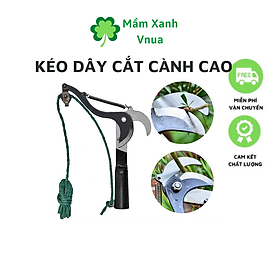 Mua Kéo Cắt Cành Cây Trên Cao Tỉa Cây Cảnh Hái Hoa Quả - Có Dây Kéo