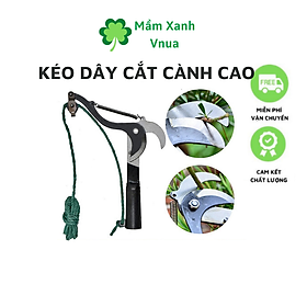 Hình ảnh Kéo Cắt Cành Cây Trên Cao,Tỉa Cây Cảnh,Hái Hoa Quả - Có Dây Kéo