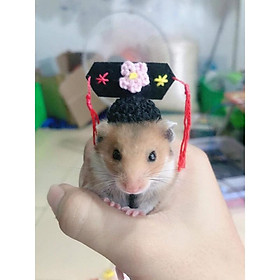 nón mũ hamster cách cách