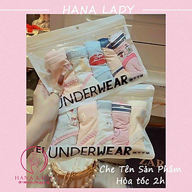 Quần lót nữa thun cotton, set 5 chiếc quần chip mềm mại hoạt hình cute QL011