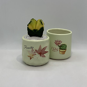 Bộ 2 Chậu Sứ - 7x7x7 Cm - Mầu Vàng Chanh – Dáng Trụ - Chậu Gốm Bát Tràng Trồng Cây Mini Để Bàn, Sen Đá, Xương Rồng, Cây Cẩm Nhung (Fittonia, May Mắn) & Tiểu Cảnh Terrarium