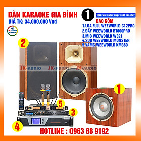 Mua Dàn karaoke loa Weeworld C12 giá 34 triệu - Hàng chính hãng