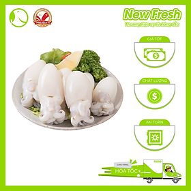 Mực Nang Nút Làm Sạch - Túi 1Kg (10-20 con)