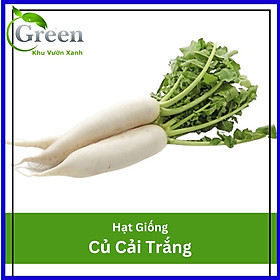 Mua Hạt Giống Củ Cải Trắng (Củ Cải Tuyển) 20 Gam