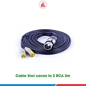 Mua Dây canon âm ra 2 AV hoa sen Kiwi  dây audio lõi đồng  dây tín hiệu từ vang xuống sub  hàng chính hãng