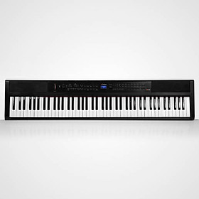 Mua Đàn Piano điện/ Studio  Mobile Digital Piano - Artesia PE-88 (PE88) - Best Digital Piano for Studio  Màu đen (BL) - Hàng chính hãng