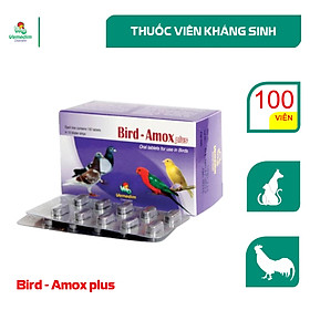 Bird Amox plus Trị nhiễm trùng da, mô mềm, nhiễm khuẩn đường tiết niệu, hô hấp, viêm ruột cho gà đá, chó, mèo, Hộp 100 viên, sản phẩm Vemedim