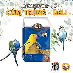 Thức Ăn Cho Chim FREESHIP Cám Trứng Deli Siêu Ngon Bổ Dưỡng Cho Yến Phụng , Chim ....
