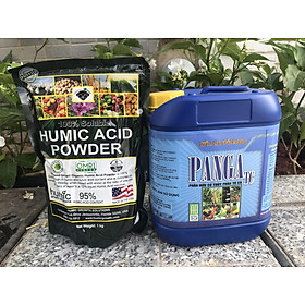 Combo Đạm cá và phân Humic Mỹ – Dưỡng cây tốt khỏe (Gồm Đạm Cá 5 lít và 1kg humic acid powder dạng bột 95%)