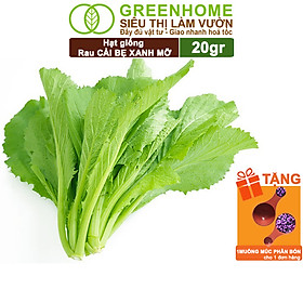 Mua Hạt Giống Cải Bẹ Xanh Mỡ Greenhome  Gói 20g  Dễ Trồng Quanh Năm  Nảy Mầm Cao  Thu Hoạch Nhanh  Năng Suất Cao R04