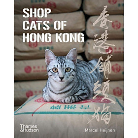 Hình ảnh Shop Cats of Hong Kong