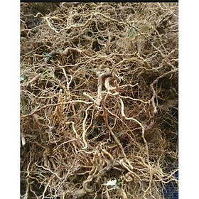 Mua rễ cà gai leo khô túi 1kg