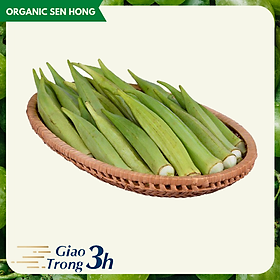 Đậu bắp 1kg - Giao nhanh 3h