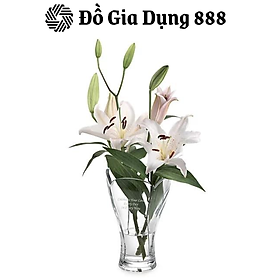 Lọ Hoa Pha Lê Cao Cấp Spiegelau Nachtman Florero 27cm, Lọ Hoa Thủy Tinh Trang Trí Bàn Tiệc, Nhập Đức Chính Hãng