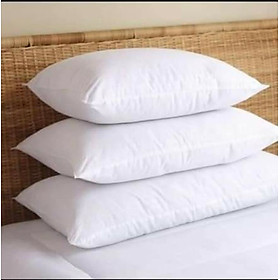 Mua Lõi Gối  Ruột Gối Bông Hạt Cao Cấp( 1 đôi )
