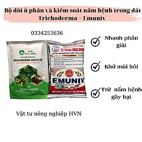 Combo ủ phân hữu cơ và kiểm soát mầm bệnh hiệu quảEmuniv + Trichoderma gói 200g