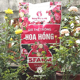 Mua GIÁ THỂ TRỒNG HOA HỒNG SFARM - BAO 20DM3 - 1 bao 7KG
