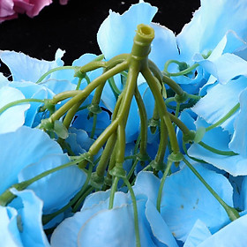 6pcs Artificial Hydrangea Flower Head DIY Wedding Decor