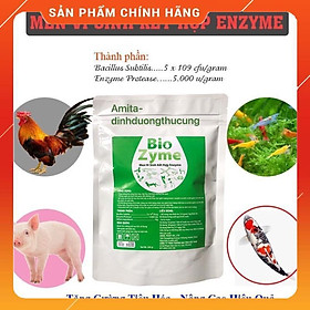 Men vi sinh sống kết hợp Enzyme tăng cường khả năng tiêu hoá và phòng ngừa bệnh đường ruột
