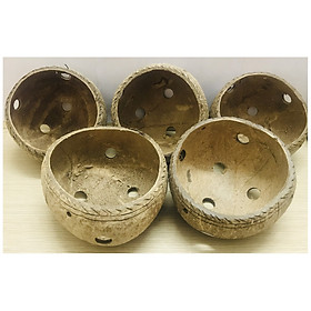 5 Gáo Dừa Trồng Hoa Cây Cảnh