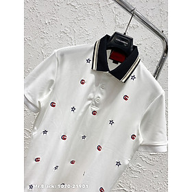 Áo thun Polo nam vải đẹp, thêu chữ nổi, mịn, phong cách, cá tính  (QC-PLGCNGOISAO)