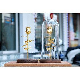 Mua Quà tặng 8/3: Hoa hồng mạ vàng 24k với chụp thủy tinh sang trọng