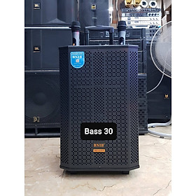 Mua Loa kéo Karaoke Bluetooth BNIB 1299: Bass 30  Công suất 300W  Chống hú tốt. 2 Micro không dây