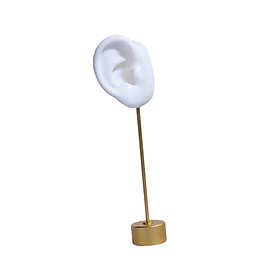 Earring Display Stand Silicone  Ear Stud  Organizer