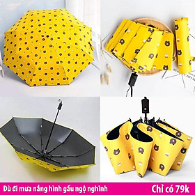 Mua Ô Dù gấp Gọn Hình Gấu Brown Vải 3 Lớp che mưa   che nắng  có lớp vải chống tia uv