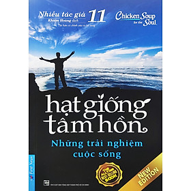 Hạt Giống Tâm Hồn - Tập 11: Những Trải Nghiệm Cuộc Sống