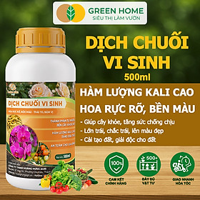 Dịch Chuối Vi Sinh GreenHome, Chai 500ml, Kích Hoa Mạnh, Tăng Đậu Trái, Giúp Trái To Ngọt, Vàng Cơm