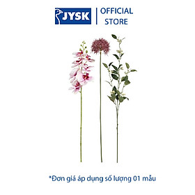 Mua Hoa nhân tạo | JYSK Hedvig | polyester | nhiều màu | D70cm