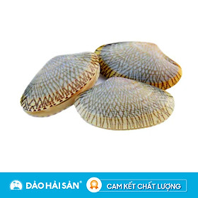 Chip Chip Sống (1kg)