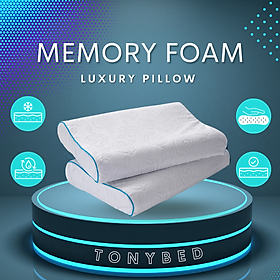 Gối Memory Foam