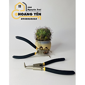 Kềm phe cong ra tolsen 10082