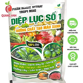Mua Phân Bón Diệp Lục Số 1 - Dưỡng Chất Tạo Xanh Lá MAGIE - Xanh Dày Lá  Mập Thân - Gói 60Gr