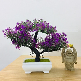 Chậu hoa bonsai nhựa 3 nhánh nhiều màu sắc trang trí bắt mắt