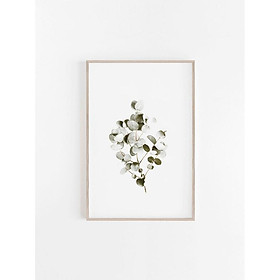 Tranh treo tường | Tranh cây lá nhiệt đới - Eucalyptus Print, Botanical Print 2