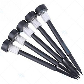 Mua đèn sân vườn năng lượng mặt trời tự động