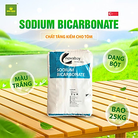 Chất tăng kiềm Sodium Bicarbonate 25kg – Ổn định pH, hỗ trợ tôm lột xác hiệu quả - Chính hãng Behn Meyer (Singapore)