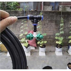 SALE Béc phun sương tưới lan màu xanh 4 hướng kèm nối nhanh chữ T 8mm