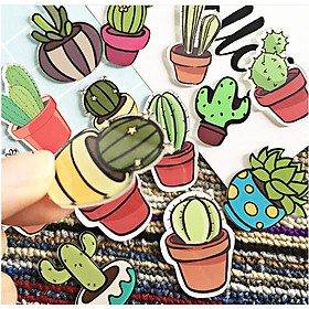 5 miếng hít tủ lạnh chất liệu mica siêu xinh (hoa xương rồng)