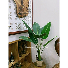 Mua Cây chuối-cây chuối giả 1m2