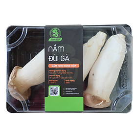 Nấm Đùi Gà Tươi Ngon, Sạch, Bổ Sung Giàu Dinh Dưỡng Hộp 500Gr - Foodmap
