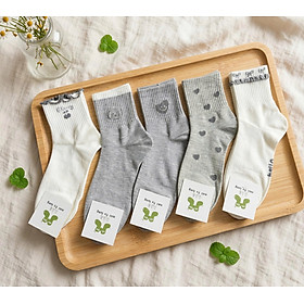 SET 5 ĐÔI TẤT VỚ NỮ CAO CỔ MÃ 17 DÀNH CHO NỮ